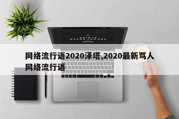 网络流行语2020泽塔,2020最新骂人网络流行语