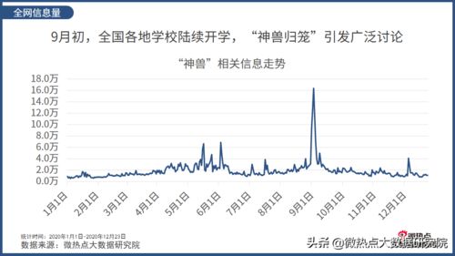 2020网络流行语采访,网络采访是什么