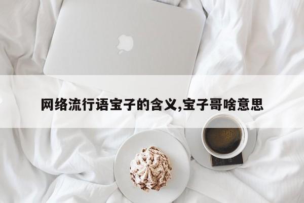 网络流行语宝子的含义,宝子哥啥意思