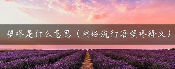 有墙的网络流行语_网络墙角是什么意思