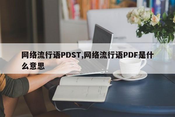 网络流行语PDST,网络流行语PDF是什么意思