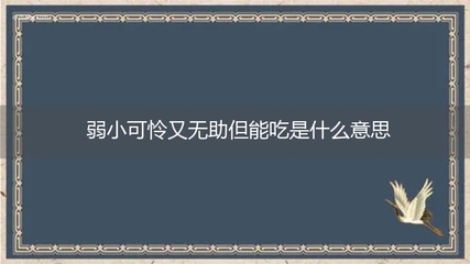 卖萌网络流行语,卖萌常用语